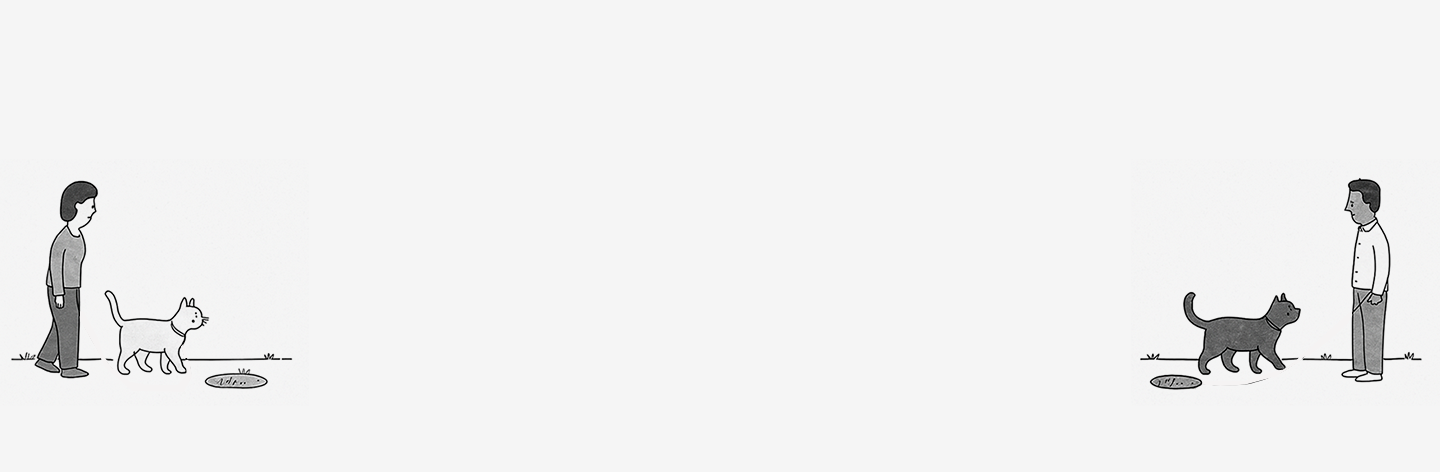 slider image slider_item_xBCAx7